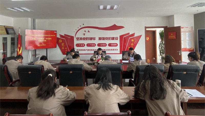 以案促改轉作風 堅守底線樹新風   &mdash;&mdash;青海物產(chǎn)朝陽物流開發(fā)投資有限公司支部委員會開展&ldquo;以案促改&rdquo;作風建設專項大討論