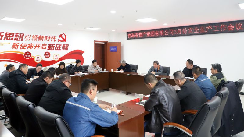 集團(tuán)召開(kāi)2025年3月份安全生產(chǎn)工作會(huì)議